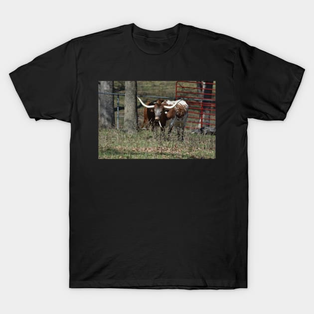 Longhorn T-Shirt by MarieDarcy